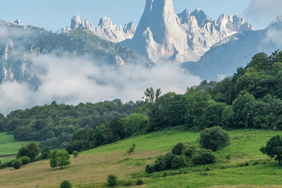 Tour Privado para cruceristas desde Gijón: Diseña tu experiencia a medida