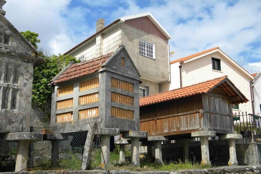 Tour Privado para cruceristas desde Vigo: Diseña tu experiencia a medida
